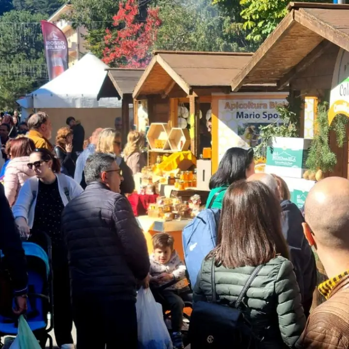 Degustazioni, musica e trekking nei boschi, a Camigliatello oltre 140mila visitatori per l’Autunno in Sila\n