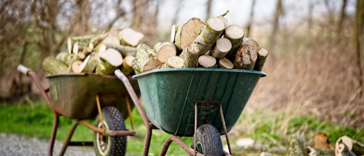 Legname gratis e soldi, così due carabinieri infedeli avrebbero agevolato il clan Cracolici: omessi controlli sui tagli e copertura delle piantagioni