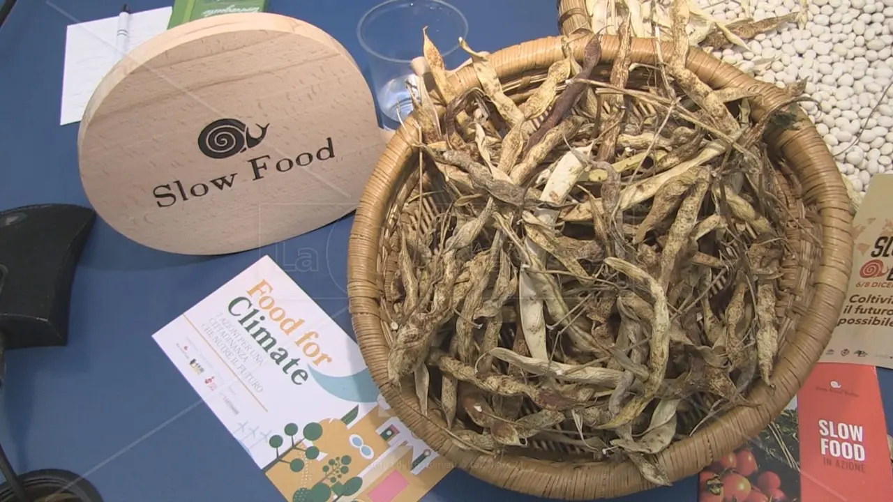 Slow Beans approda in Calabria, tre giorni di appuntamenti nel cuore del Parco del Pollino\n