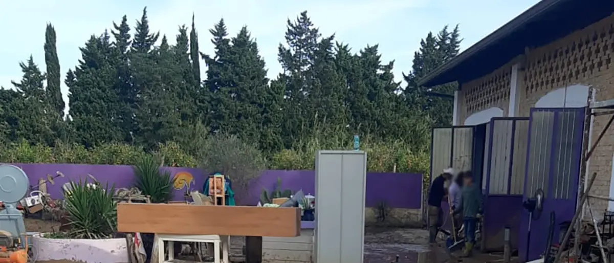 Dall'emergenza alluvione alle nuove prospettive del binomio agricoltura-turismo: oggi su Grand Terroir nuovo appuntamento