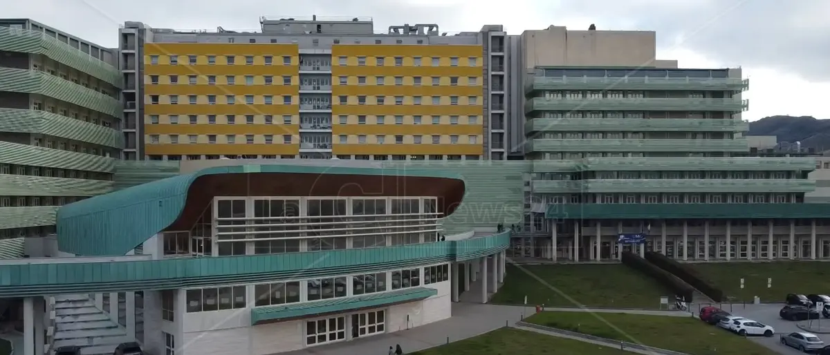 Università Magna Grecia, i sindacati: «Basta con la caccia alle streghe, la politica catanzarese ci stia accanto per migliorare insieme»