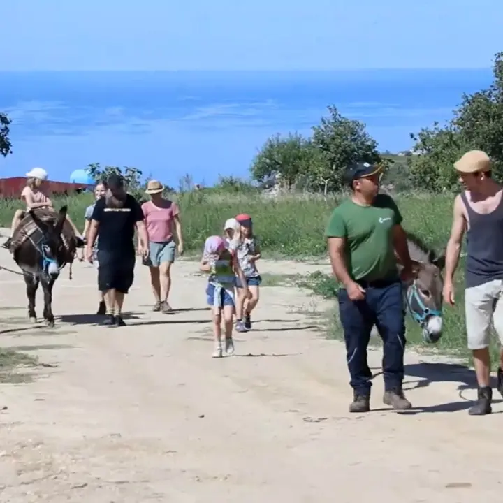 Alla scoperta degli antichi sentieri dei mugnai: nel Vibonese un viaggio tra natura, storia e cibo\n