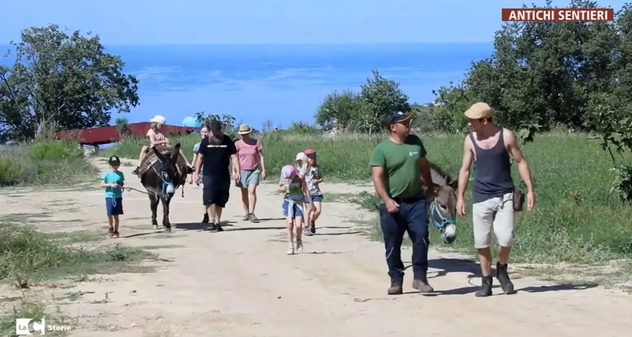 Alla scoperta degli antichi sentieri dei mugnai: nel Vibonese un viaggio tra natura, storia e cibo\n