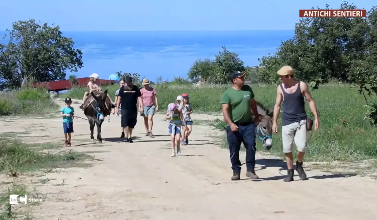 Alla scoperta degli antichi sentieri dei mugnai: nel Vibonese un viaggio tra natura, storia e cibo\n