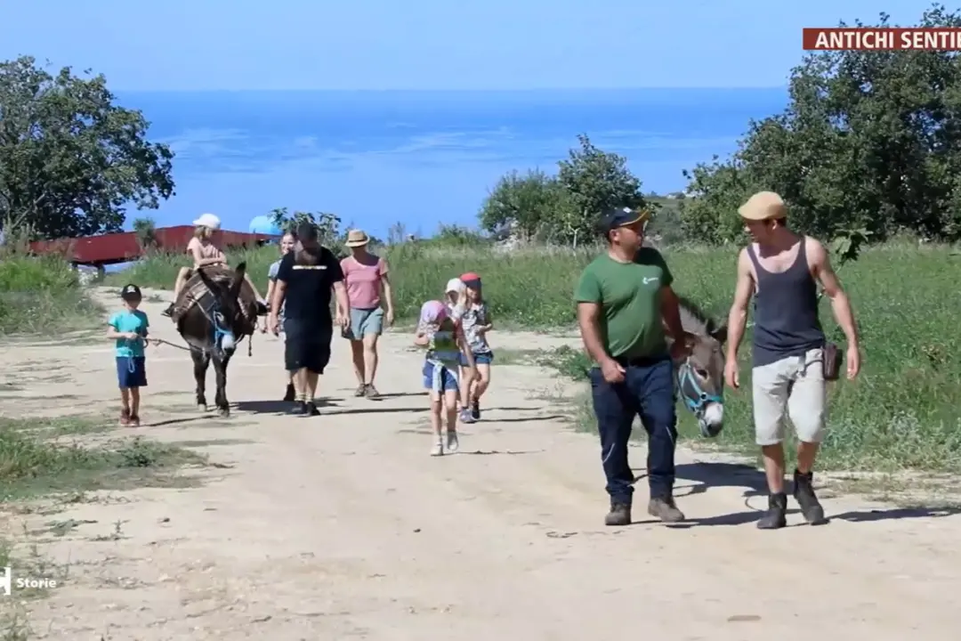 Alla scoperta degli antichi sentieri dei mugnai: nel Vibonese un viaggio tra natura, storia e cibo\n