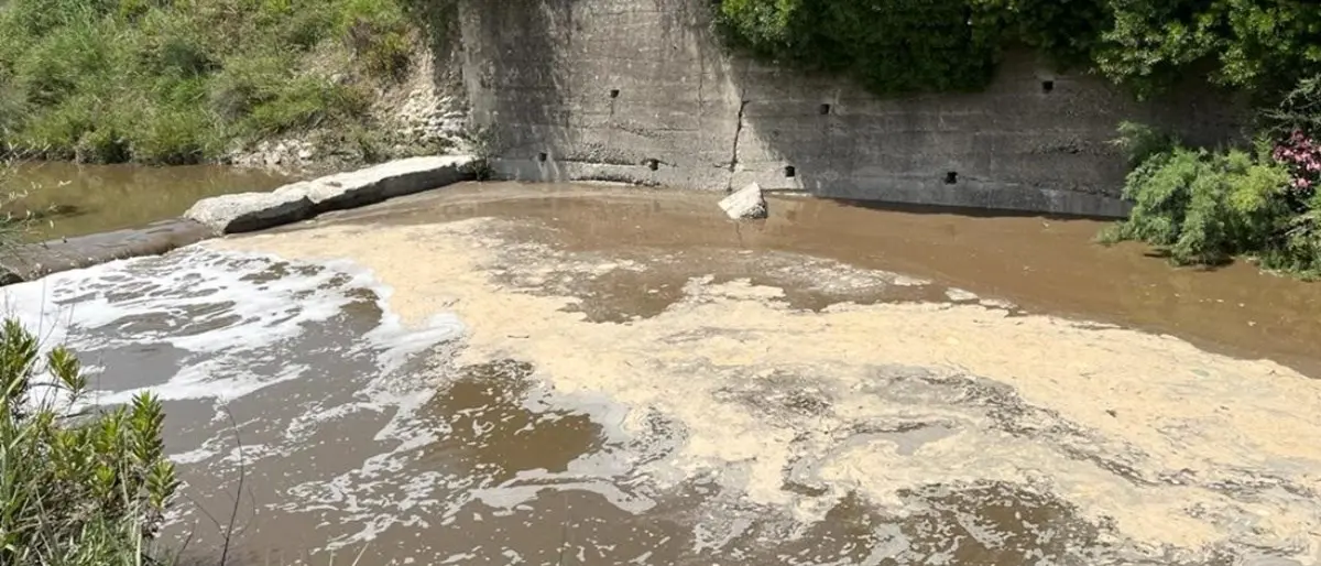 Discarica di Scala Coeli, un anno e mezzo di\u00A0denunce fino al sequestro e 5 indagati per disastro ambientale\n