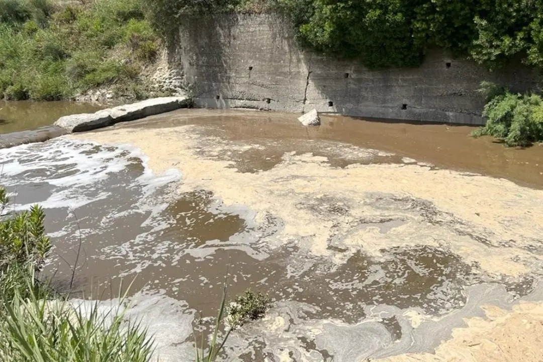 <p>Il percolato finito nel torrente Patia/Cacciadebiti a Scala Coeli</p>\\n