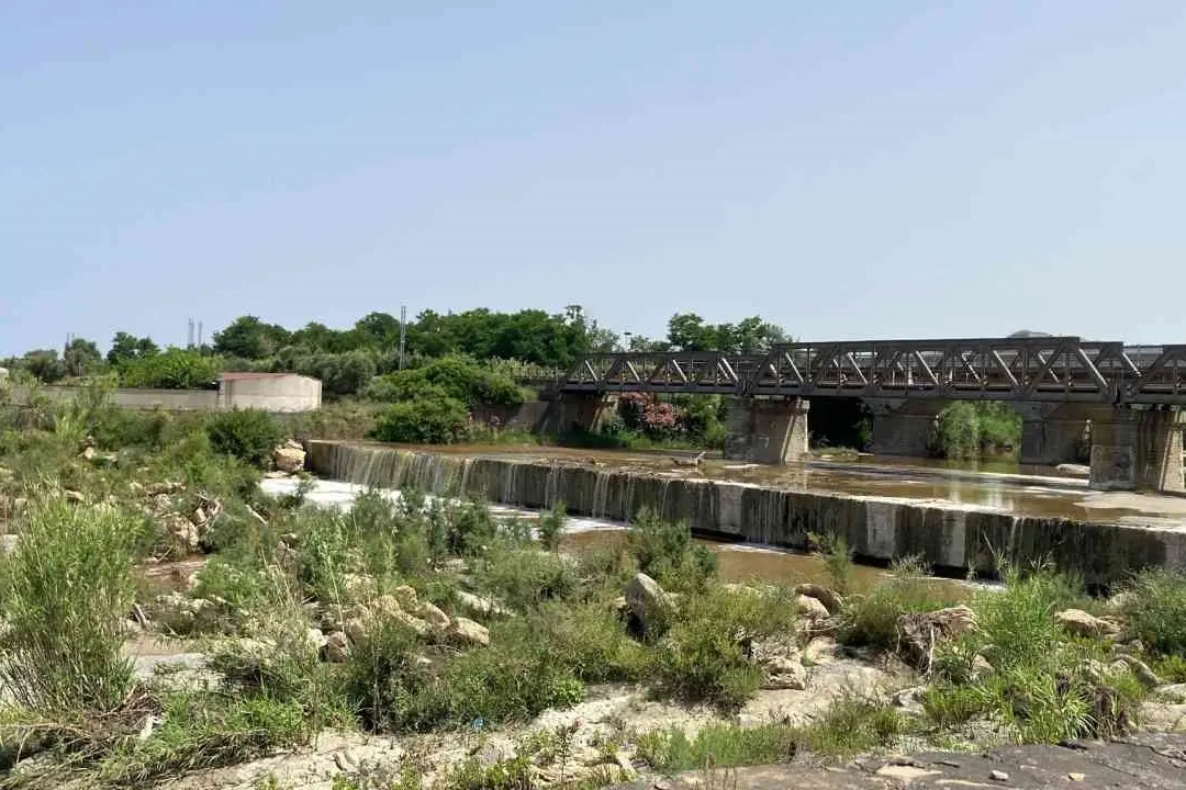 <p>Il fiume Nic&agrave; a Scala Coeli nei giorni successivi allo sversamento</p>\\n