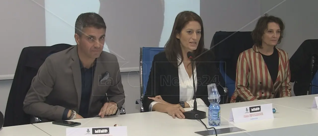 Mind the Step, così Marano Principato si candida a diventare cittadella dell’arte\n