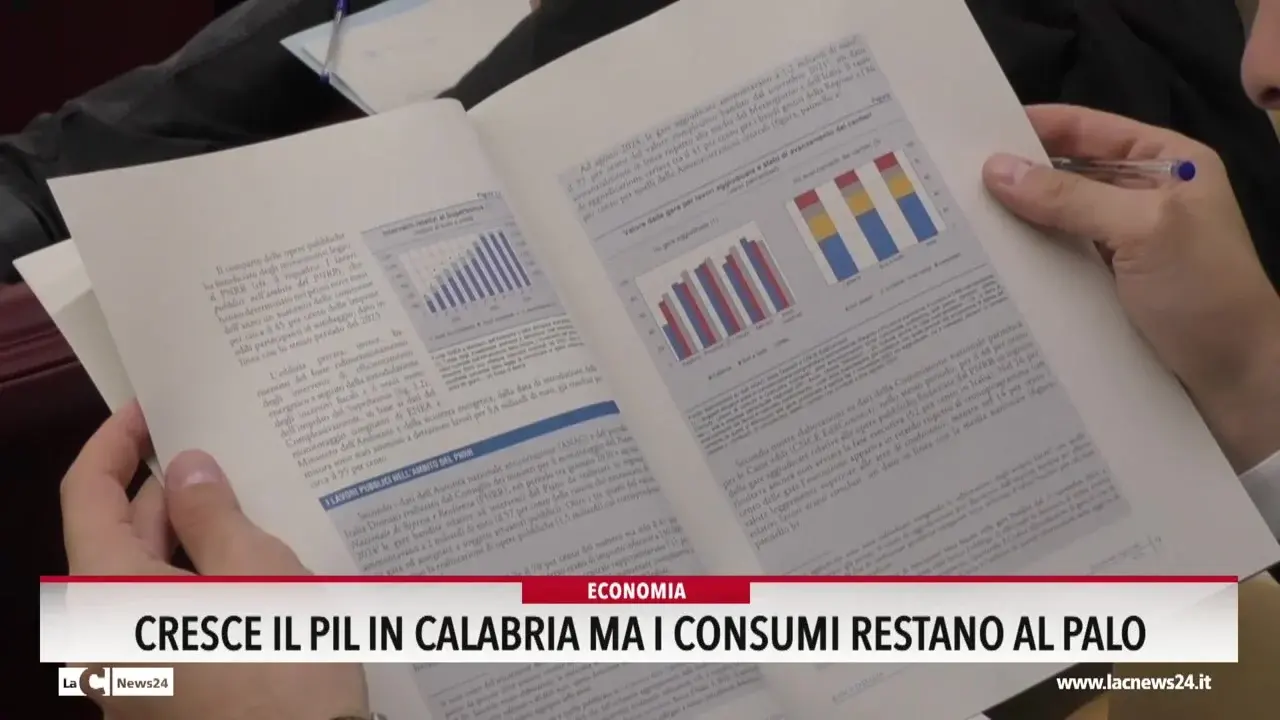 Cresce il Pil in Calabria ma i consumi restano al palo