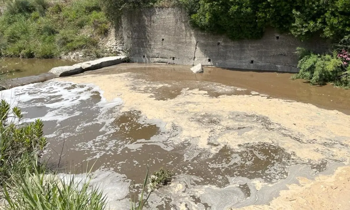 Cadmio, nichel e piombo: nei torrenti di Scala Coeli metalli pesanti dopo la fuga di percolato dalla discarica\n