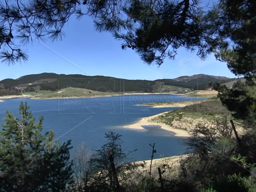 Calabria senz’acqua, l’emergenza continua (e preoccupa): riserve idriche in calo del 30% e crisi in tutte le province
