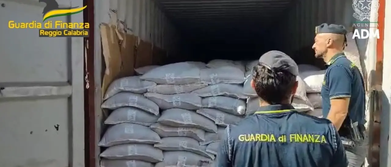 La coca della ‘ndrangheta da Gioia a Milano: container segnati e un camion della spazzatura per portarla fuori\n