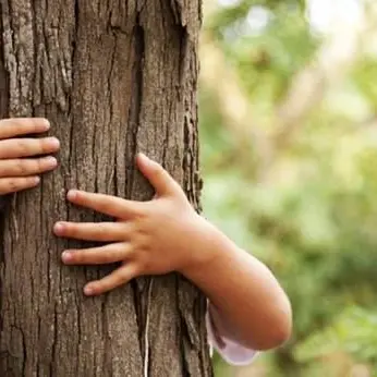 Gli studenti di Fabrizia scendono in campo per la difesa dell’ambiente e del territorio