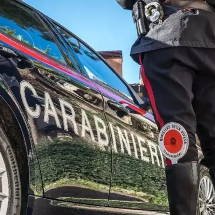 Carabinieri (Foto Ansa)