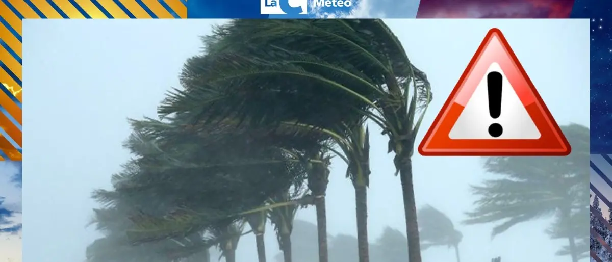 Violente raffiche di vento sferzano la Calabria, a Catanzaro superati i 130 chilometri orari\n