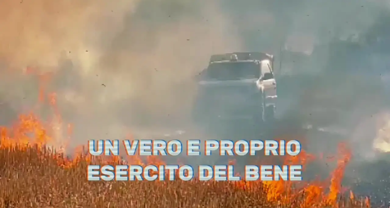 Incendi boschivi, il progetto Tolleranza zero