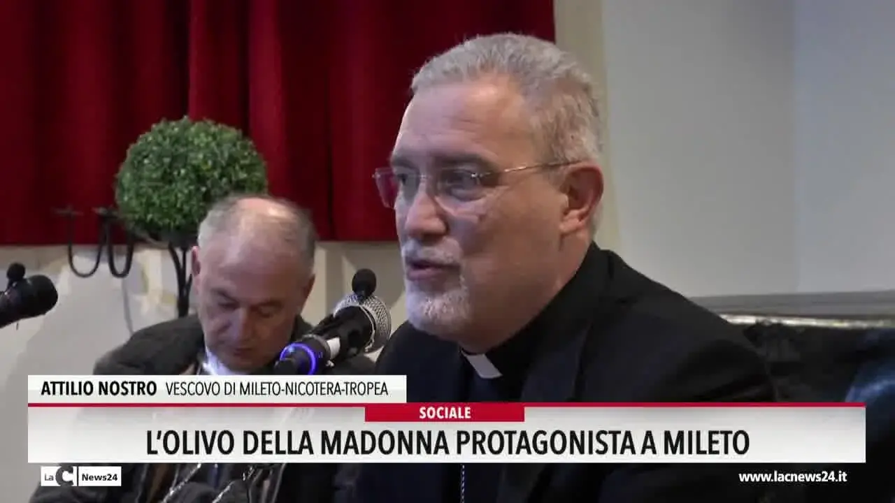 L'olivo della Madonna protagonista a Mileto