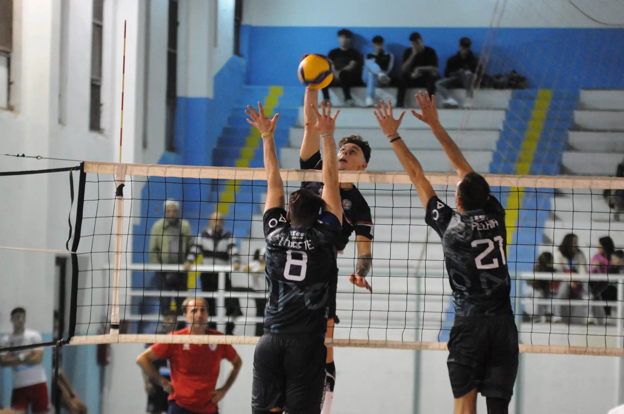 Pallavolo Calabria, Bisignano e Lamezia rapaci in Serie B. Taurianova allunga nel torneo regionale\n