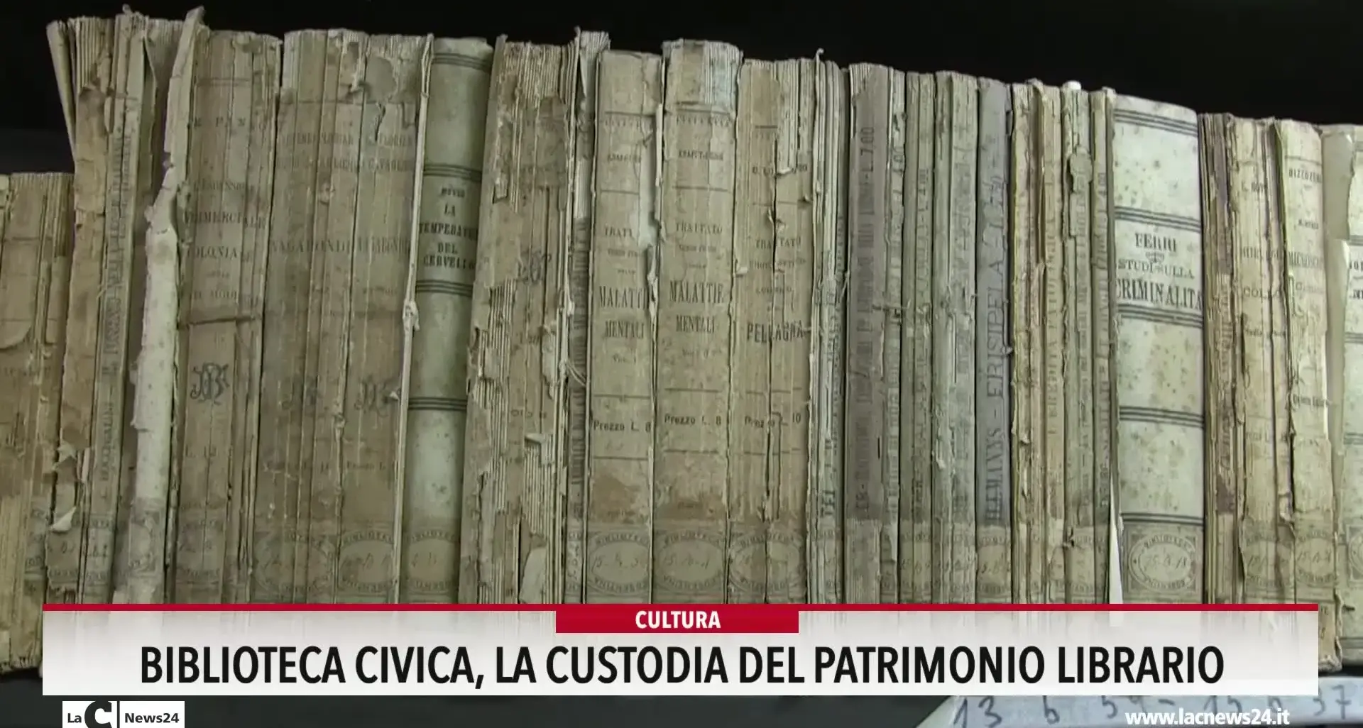 Biblioteca civica, la custodia del patrimonio librario