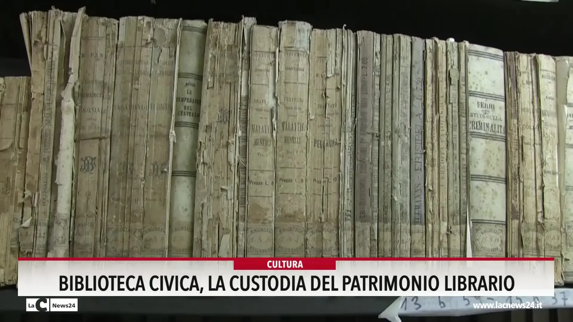 Biblioteca civica, la custodia del patrimonio librario