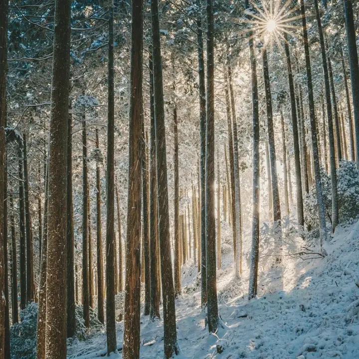 Prove d’inverno: in Calabria arrivano temporali, neve e freddo. Temperature in calo di 10 gradi\n