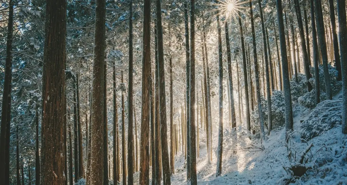 Prove d’inverno: in Calabria arrivano temporali, neve e freddo. Temperature in calo di 10 gradi\n