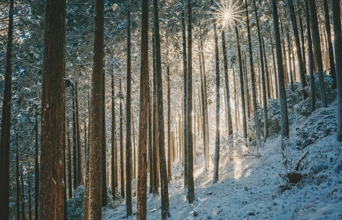 Prove d’inverno: in Calabria arrivano temporali, neve e freddo. Temperature in calo di 10 gradi\n