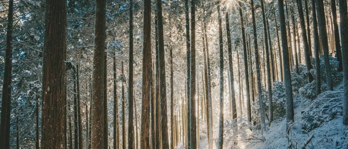 Prove d’inverno: in Calabria arrivano temporali, neve e freddo. Temperature in calo di 10 gradi\n