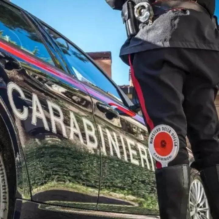 Carabinieri (Foto Ansa)