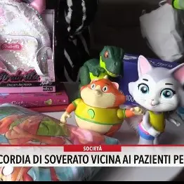 La Misericordia di Soverato in campo con una raccolta di beni per i piccoli pazienti degli ospedali pediatrici\n