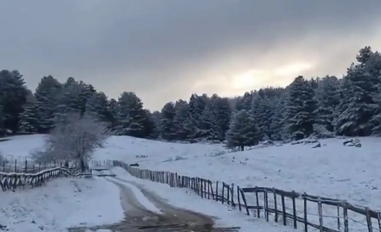 La magia della neve in Sila