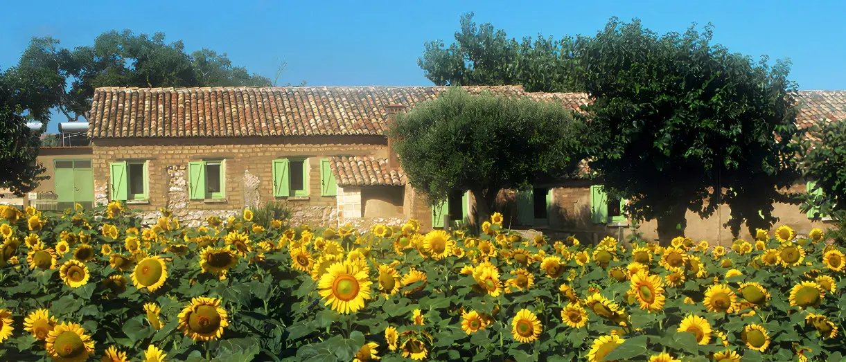 Le Breste, il progetto sulle antiche costruzioni in terra cruda nel Vibonese trionfa al Premio nazionale di Foligno\n