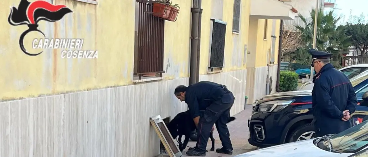 Blitz nelle case popolari del Tirreno Cosentino, irregolare anche l’abitazione concessa nel 1969 al boss Franco Muto\n