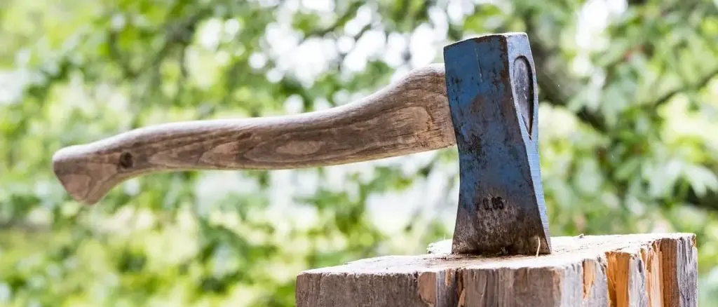 Droga, la ferocia\u00A0dei trafficanti calabresi: il corriere ruba 180mila euro alla banda e gli mozzano il mignolo con l’accetta\n