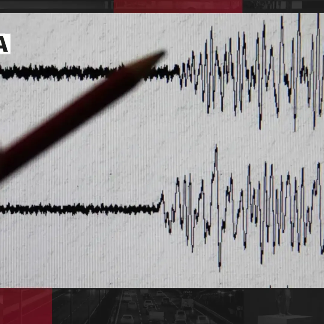 “Sciame sismico in Calabria, cosa sta accadendo?”, focus sui terremoti oggi a Dentro la notizia\n