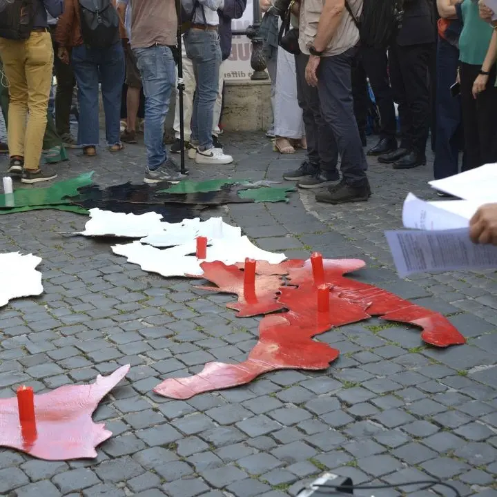 Autonomia differenziata, Orrico (M5s) dopo la sentenza della Consulta:\u00A0«Ora il centrodestra faccia i conti con la realtà»\n