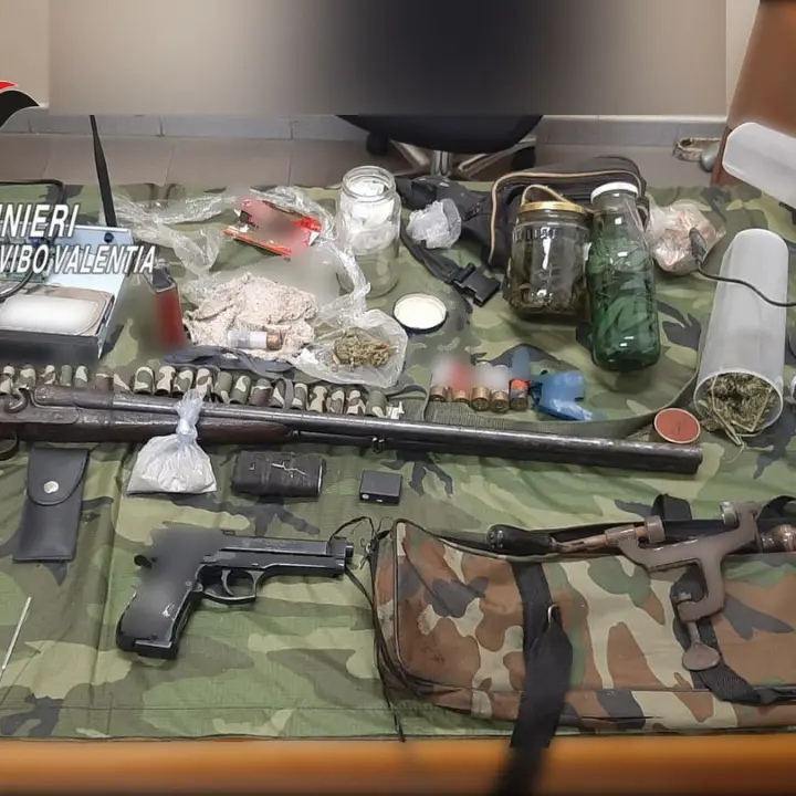 Sequestrate armi e droga nel Vibonese, durante il blitz uomo aggredisce i carabinieri: arrestato