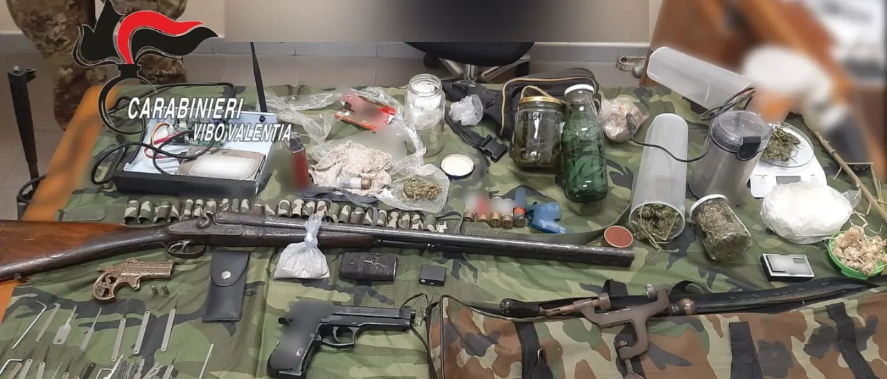 Sequestrate armi e droga nel Vibonese, durante il blitz uomo aggredisce i carabinieri: arrestato