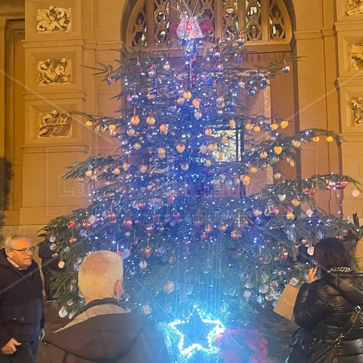 Reggio Calabria,\u00A0l'albero del dono dell’Avis comunale accende la solidarietà\n