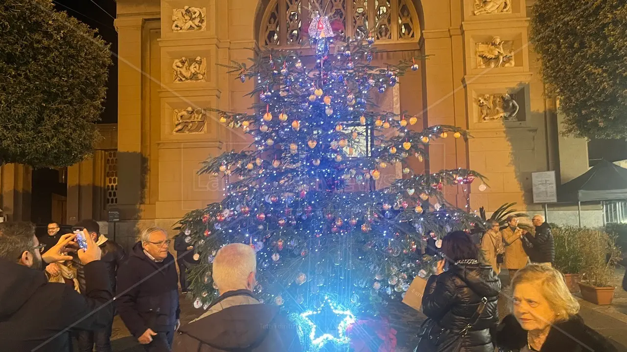 <p>L&#39;albero del Dono dell&#39;Avis comunale OdV in piazza San Giorgio al Corso a Reggio Calabria</p>\\n