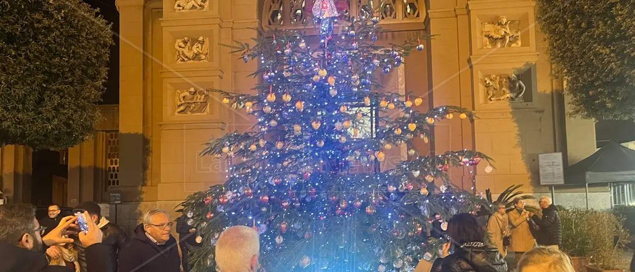 Reggio Calabria,\u00A0l'albero del dono dell’Avis comunale accende la solidarietà\n