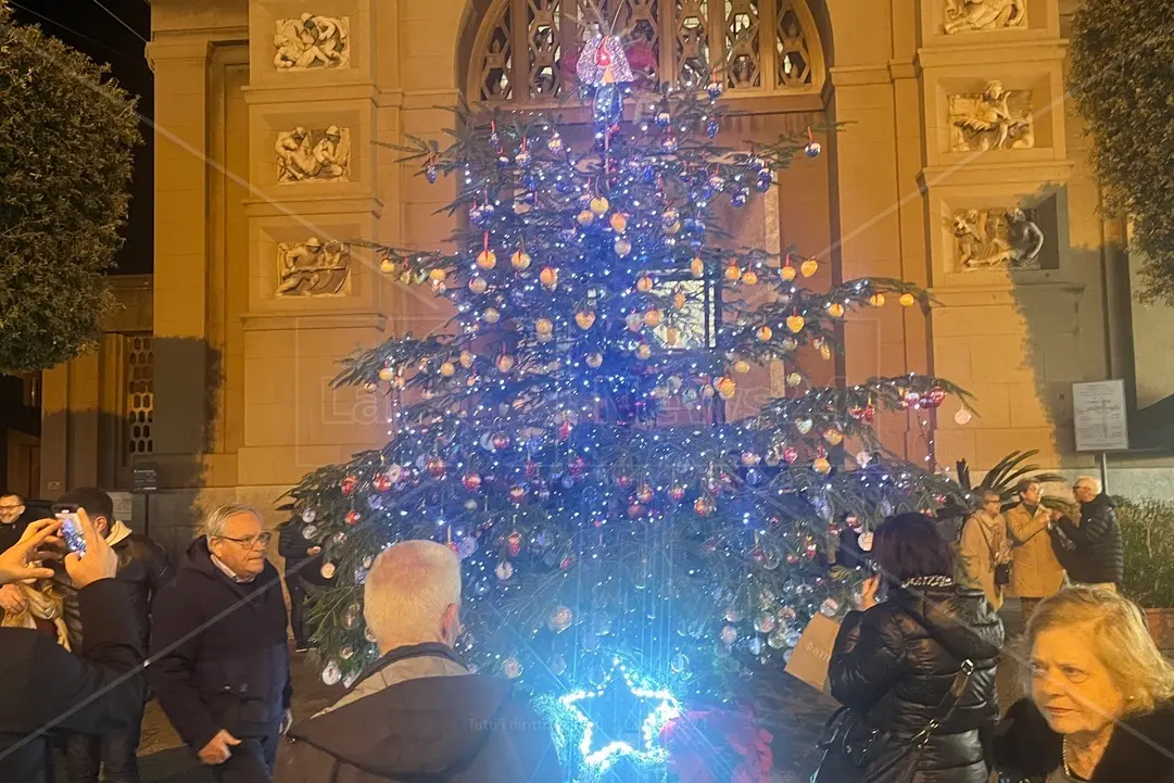 <p>L&#39;albero del Dono dell&#39;Avis comunale OdV in piazza San Giorgio al Corso a Reggio Calabria</p>\\n