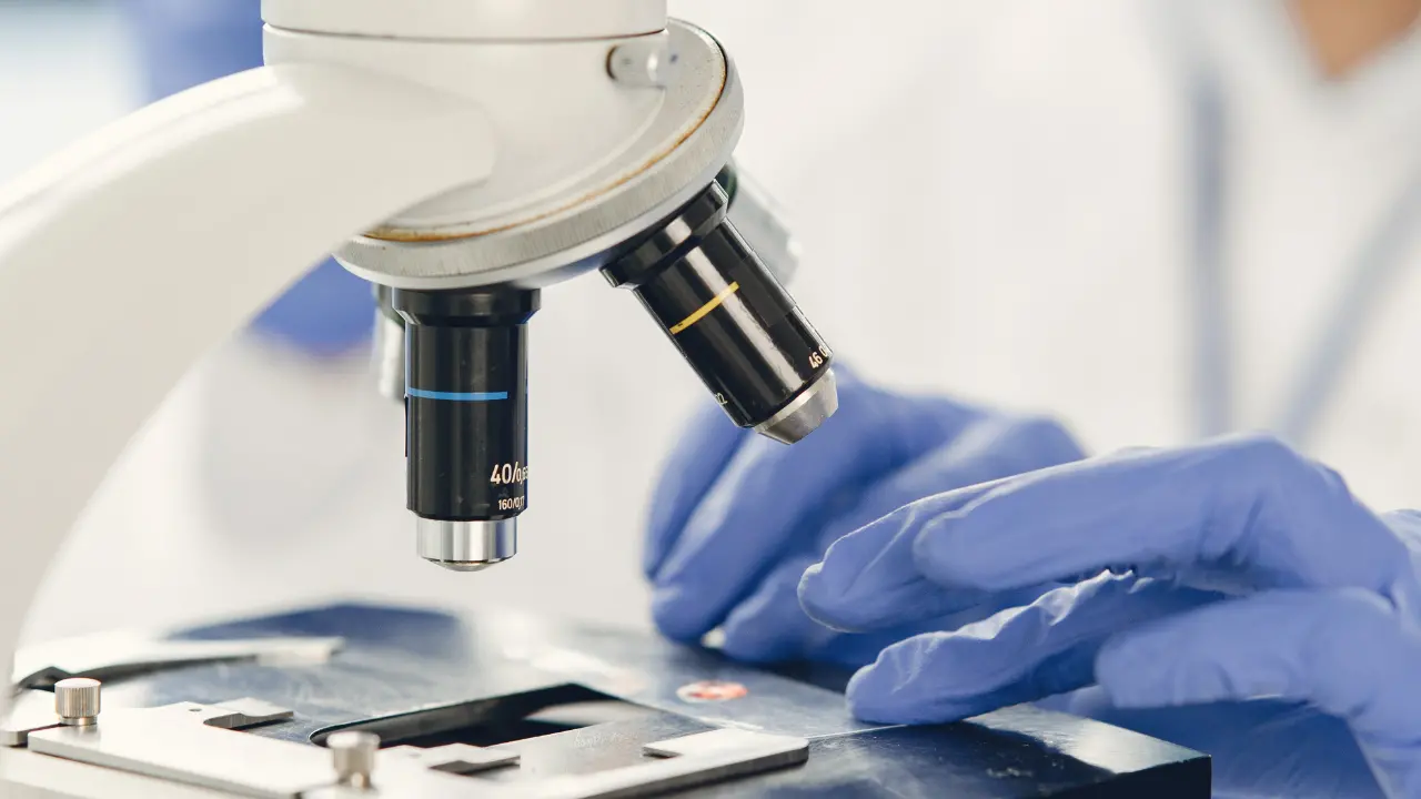 Virus\u00A0del\u00A0Congo, a Lucca il primo presunto caso di contagio in Italia: all’Iss test sui campioni prelevati\u00A0\n