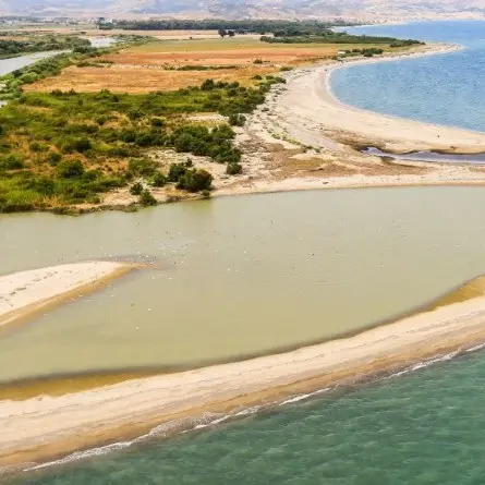 Un avviso pubblico per tutelare il patrimonio ambientale: la Regione Calabria stanzia 2,3 milioni\n