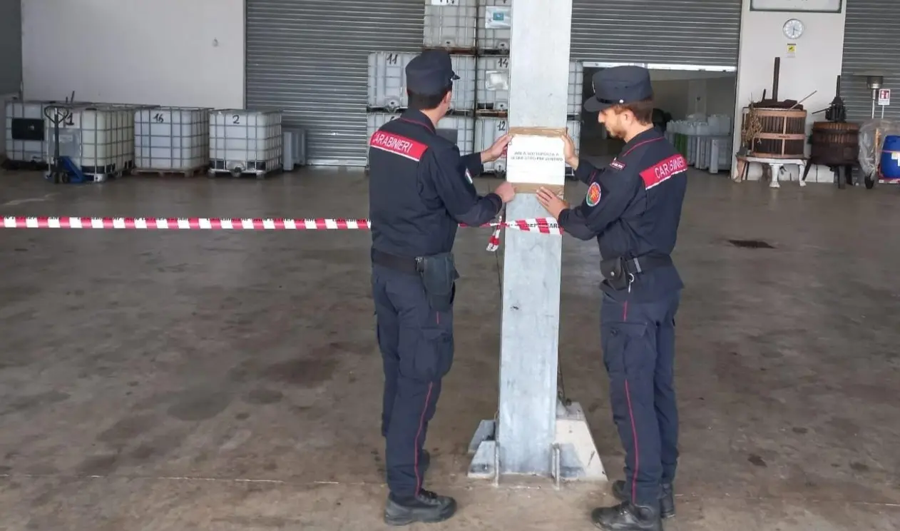 Lamezia, frantoio senza autorizzazioni ambientali: scatta il sequestro. Denunciato il titolare\n