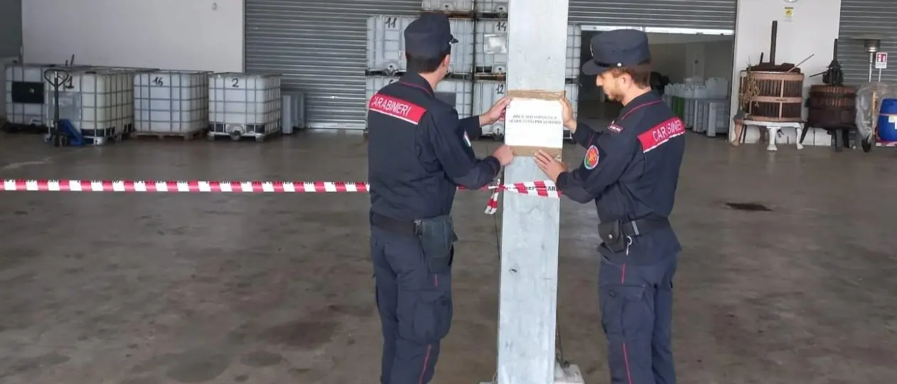 Lamezia, frantoio senza autorizzazioni ambientali: scatta il sequestro. Denunciato il titolare\n