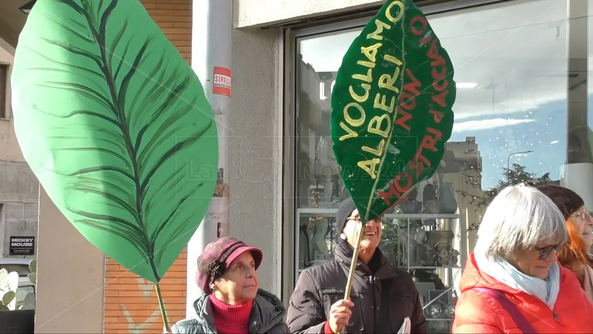 Nuovo sit-in contro l’eolico in Calabria: «Stanno condannando interi territori alla desertificazione, basta consumare altro suolo»