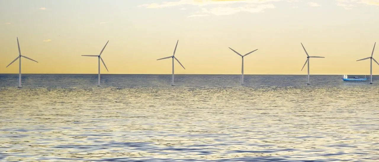 Eolico offshore, Legacoop Agroalimentare: «I nuovi parchi ridurrebbero la pesca del 21%»