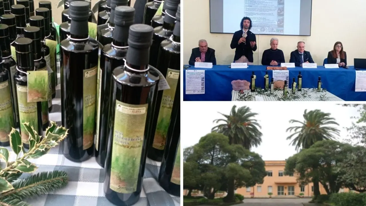 A Palmi presentato l'olio\u00A0dell'istituto tecnico agrario: «Prodotto di qualità, i nostri studenti gli imprenditori del futuro»\n